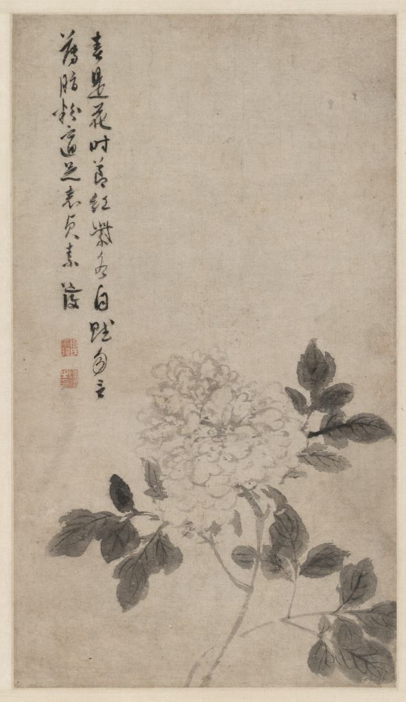 圖片關(guān)鍵詞